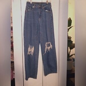 Classic Blue Distressed Women Jeans